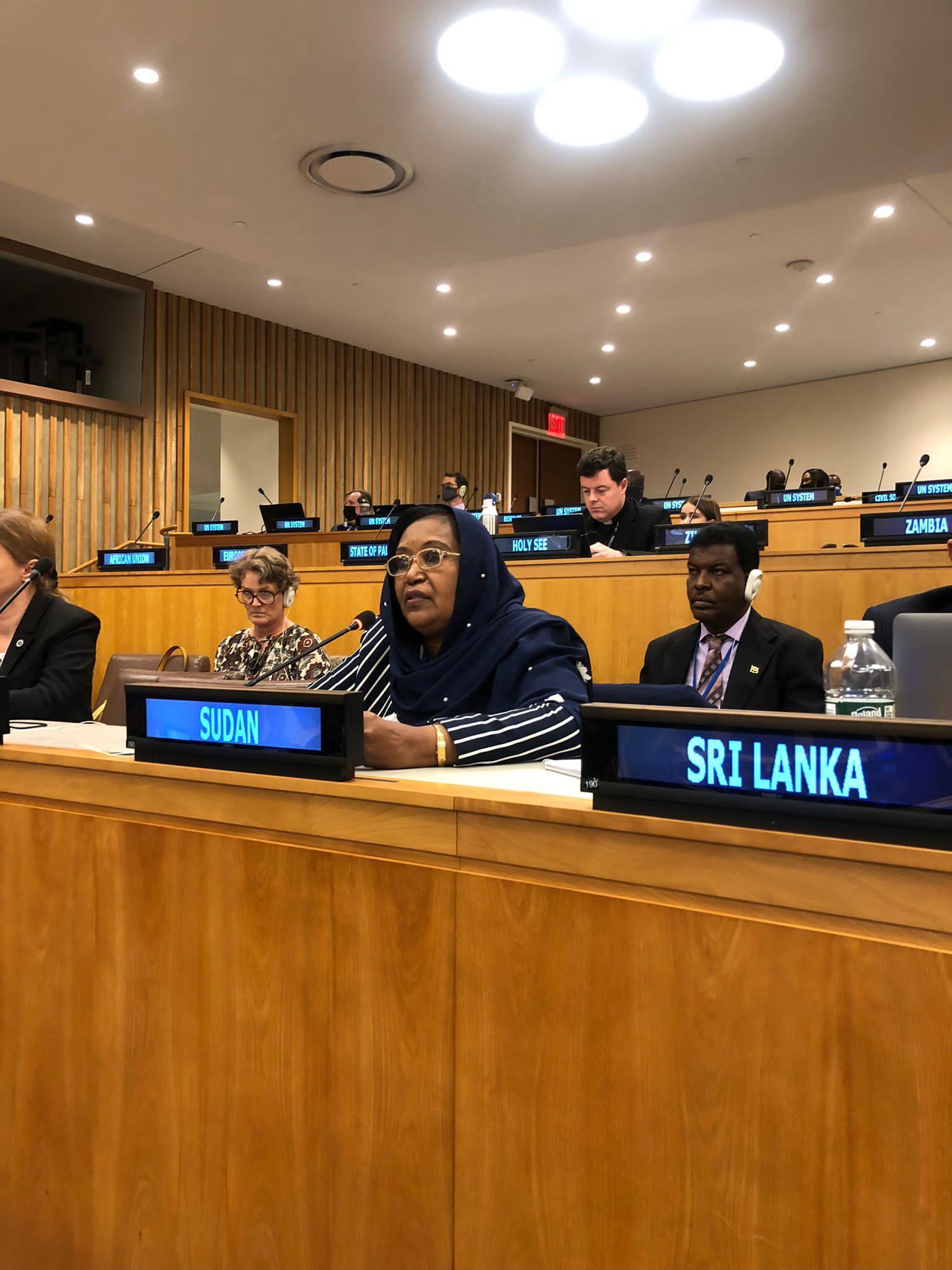 الأميــن العام للمجلس القومي للسكان تشارك في دورة السكان والتنميةبنيويورك الأميــن العام للمجلس القومي للسكان تشارك في دورة السكان والتنميةبنيويورك