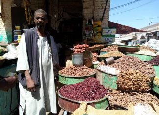 تذبذب أسعار المواد الغذائية والخضروات بسوق كوستىى الكبير تذبذب أسعار المواد الغذائية والخضروات بسوق كوستىى الكبير