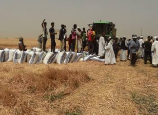 النيل الأبيض : رغم التحديات الموسم الشتوي حقق إنتاجية مقدرة النيل الأبيض : رغم التحديات الموسم الشتوي حقق إنتاجية مقدرة