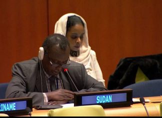 السودان يشارك في اجتماعات منتدى تمويل التنمية السودان يشارك في اجتماعات منتدى تمويل التنمية