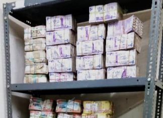 357 مليون جنيهاً أرباح تقاوى القمح لمزارعي قسم الحوش بمشروع الجزيرة 357مليون جنيهاً أرباح تقاوى القمح لمزارعي قسم الحوش بمشروع الجزيرة