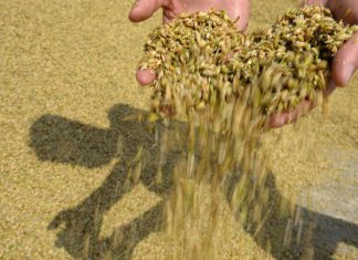 الأمم المتحدة: أسعار المواد الغذائية ترتفع إلى مستوى قياسي جديد في مارس الأمم المتحدة: أسعار المواد الغذائية ترتفع إلى مستوى قياسي جديد في مارس