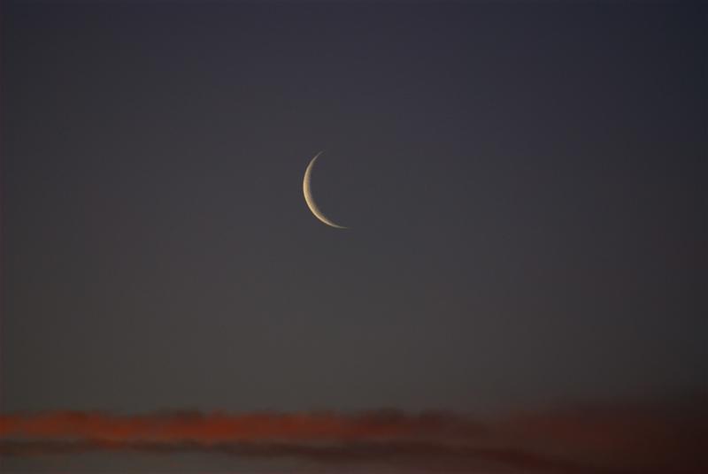 عدة دول تعلن السبت أول أيام شهر رمضان عدة دول تعلن السبت أول أيام شهر رمضان