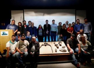 الكشف عن حفرية الديناصور الأكبر على الإطلاق في الأرجنتين الكشف عن حفرية الديناصور الأكبر على الإطلاق في الأرجنتين