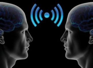 بيولوجيا التخاطر.. هل التواصل من دماغ إلى دماغ ممكن؟ بيولوجيا التخاطر.. هل التواصل من دماغ إلى دماغ ممكن؟