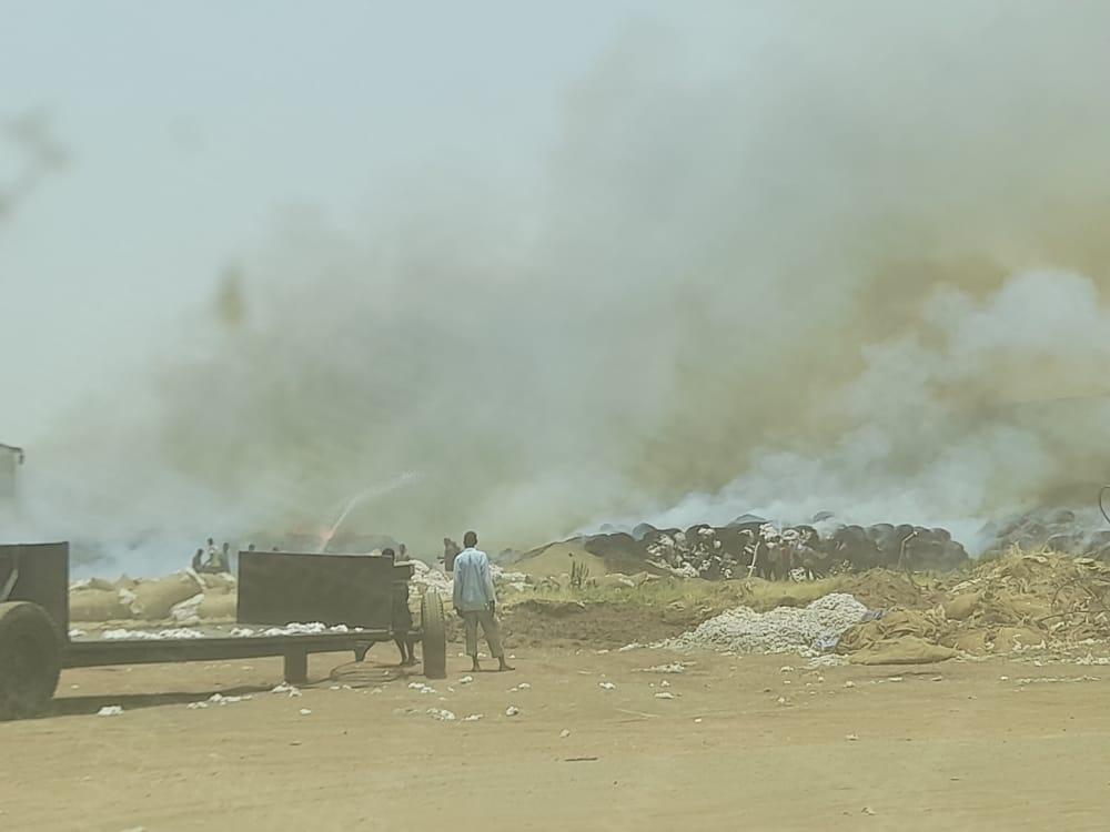 الدفاع المدني بالجزيرة ينقذ 17 ألف قنطار قطن من الحريق الدفاع المدني بالجزيرة ينقذ 17 ألف قنطار قطن من الحريق