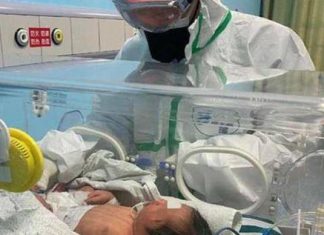 يصيب الدماغ : “فيروس نادر” يثير الرعب في الولايات المتحدة يصيب الدماغ : “فيروس نادر” يثير الرعب في الولايات المتحدة