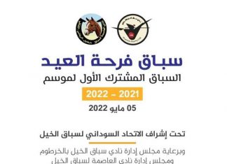 انطلاق السباق المشترك الأول للخيل غدا في ستة أشواط انطلاق السباق المشترك الأول للخيل غدا في ستة أشواط