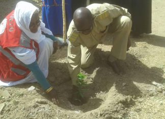 جمعية الهلال الاحمر بسنار تحتفل باليوم العالمي للتطوع بام شوكة جمعية الهلال الاحمر بسنار تحتفل باليوم العالمي للتطوع بام شوكة