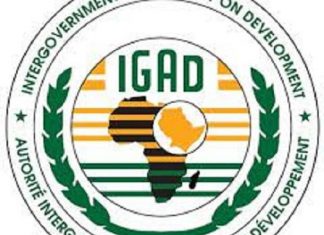 السودان يشارك فى المؤتمر الوزاري لمجابهة الكوارث والجفاف السودان يشارك فى المؤتمر الوزاري لمجابهة الكوارث والجفاف