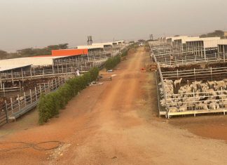 وفد فني أردني يقف علي المحاجر ومعامل البحوث البيطرية وفد فني أردني يقف علي المحاجر ومعامل البحوث البيطرية