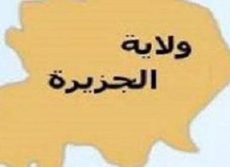 إجراء 180عملية قسطرة قلب شهرياً بمركز مدني لأمراض وجراحة القلب إجراء 180عملية قسطرة قلب شهرياً بمركز مدني لأمراض وجراحة القلب