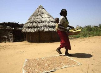 تحذير من هجوم وشيك على مناطق بدارفور تحذير من هجوم وشيك على مناطق بدارفور