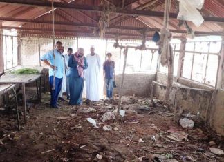 مواصفات الجزيرة تراجع سلخانات اللحوم بالمحيريبة مواصفات الجزيرة تراجع سلخانات اللحوم بالمحيريبة