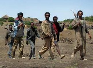 الجيش: استشهاد مواطنَيْن في اعتداء نفذه مسلحون اثيوبيون الجيش: استشهاد مواطنَيْن في اعتداء نفذه مسلحون اثيوبيون