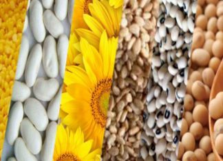 جنوب كردفان:ندوة تعريفية حول الاستخدام الامثل للمبيدات الزراعية بالعباسية. جنوب كردفان:ندوة تعريفية حول الاستخدام الامثل للمبيدات الزراعية بالعباسية.