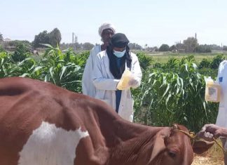 استعدادا لطوارئ الخريف الشمالية تدشن حملة مكافحة نواقل امراض الحيوان استعدادا لطوارئ الخريف الشمالية تدشن حملة مكافحة نواقل امراض الحيوان