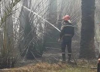 الدفاع المدني يسيطر على حريف كبير بحاج زمار محلية دنقلا الدفاع المدني يسيطر على حريف كبير بحاج زمار محلية دنقلا