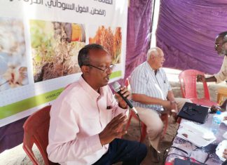 ورشة للتقانات الحديثة لإنتاج المحاصيل النقدية بمشروع الجزيرة ورشة للتقانات الحديثة لإنتاج المحاصيل النقدية بمشروع الجزيرة