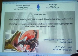 أكثر من 200 طفل ضحايا لدغات العقارب بمنطقة المناصير أكثر من 200 طفل ضحايا لدغات العقارب بمنطقة المناصير