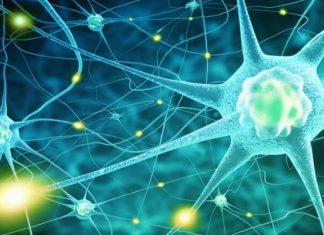 الأمراض العصبية وكيفية مواجهاتها الأمراض العصبية وكيفية مواجهاتها