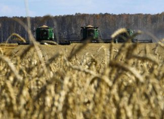 وزارة الزراعة الروسية تناقش مع دول الشرق الأوسط وشمال أفريقيا إمكانية تحويل المدفوعات إلى الروبل وزارة الزراعة الروسية تناقش مع دول الشرق الأوسط وشمال أفريقيا إمكانية تحويل المدفوعات إلى الروبل