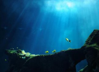 جبال من السكر في أعماق المحيط جبال من السكر في أعماق المحيط