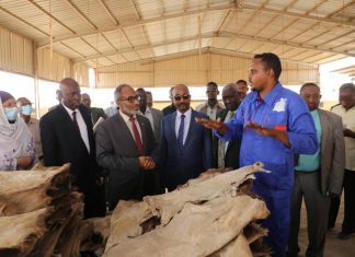 عضو السيادي د.عبد الباقي عبد القادر يتفقد مدبغة الأماتونج عضو السيادي د.عبد الباقي عبد القادر يتفقد مدبغة الأماتونج