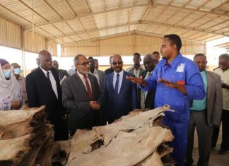 وزير الثروة الحيوانية: إنشاء مسالخ لدعم الصادر ومدابغ الجلود وزير الثروة الحيوانية :إنشاء مسالخ لدعم الصادر ومدابغ الجلود