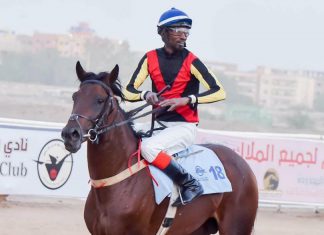 الحصان “يوم زين” أفضل جواد في الموسم الحصان "يوم زين" أفضل جواد في الموسم