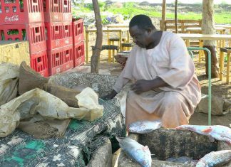 اجتماع موسع لتطوير السوق المركزي للاسماك بالدمازين اجتماع موسع لتطوير السوق المركزي للاسماك بالدمازين