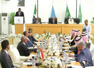 شراكة سعودية أفريقية عبر الإيقاد شراكة سعودية أفريقية عبر الإيقاد