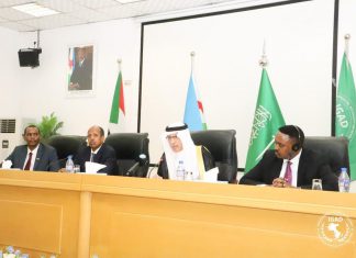 بمشاركة ايغاد: قمة سعودية افريقية بالرياض بمشاركة ايغاد : قمة سعودية افريقية بالرياض