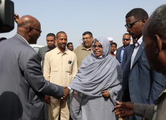 عضو السيادى:الزراعة تشكل المخرج الحقيقي لازمات السودان الإقتصادية عضو السيادى:الزراعة تشكل المخرج الحقيقي لازمات السودان الإقتصادية