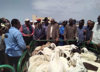 والى النيل الأبيض يفتتح نقطة تجميع الماشية بمنطقة الراوات والى النيل الأبيض يفتتح نقطة تجميع الماشية بمنطقة الراوات