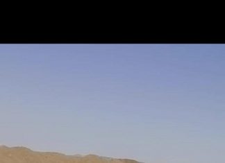 المالية تشرع في بناء مخزون إستراتيجي من القمح والذرة المالية تشرع في بناء مخزون إستراتيجي من القمح والذرة