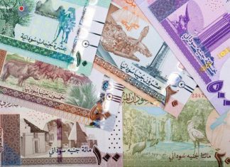 سونا تستطلع عددا من الخبراء حول اصدار فئة الاف جنيه سونا تستطلع عددا من الخبراء حول اصدار فئة الاف جنيه