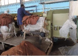 دعوة لدعم قطاع الجلود بقرارات سيادية دعوة لدعم قطاع الجلود بقرارات سيادية