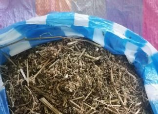 السلطات في السودان تضبط”شاش” السلطات في السودان تضبط”شاش”