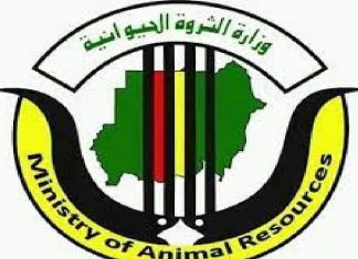 الثروة الحيوانية تتأسف على حادث غرق الباخرة (بدر واحد) الثروة الحيوانية تتأسف على حادث غرق الباخرة (بدر واحد)