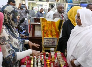 د.سلمى تؤمّن علي دور التمويل الأصغر في تحقيق تطلعات الشباب د.سلمى تؤمّن علي دور التمويل الأصغر في تحقيق تطلعات الشباب