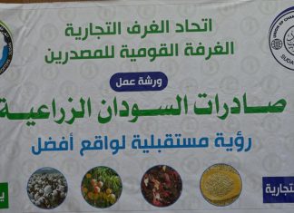البحث عن رؤية مستقبلية لترقية الصادرات السودانية البحث عن رؤية مستقبلية لترقية الصادرات السودانية