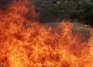 المواصفات: الرقابة الذاتية دليل وعي مقدمي الخدمات المواصفات: الرقابة الذاتية دليل وعي مقدمي الخدمات