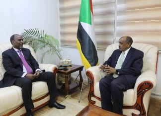 وزير الخارجية المكلف يلتقي سفير جمهورية جيبوتي وزير الخارجية المكلف يلتقي سفير جمهورية جيبوتي