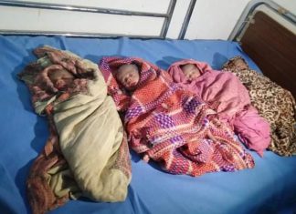 نمر يتفقد الحالة الصحية للأم التي أنجبت أربعة توائم بالفاشر نمر يتفقد الحالة الصحية للأم التي أنجبت أربعة توائم بالفاشر