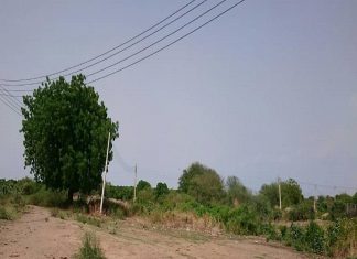 مجلس وزراء سنار يناقش سير العمل بالمسارات وقضايا أخرى مجلس وزراء سنار يناقش سير العمل بالمسارات وقضايا أخرى