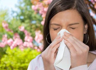 نصائح للتعامل مع الحساسية الموسمية نصائح للتعامل مع الحساسية الموسمية