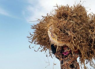 منظمة الأغذية: الصراع في أوكرانيا يهدد بمجاعة نحو 15 مليون شخص في العالم هذا العام منظمة الأغذية: الصراع في أوكرانيا يهدد بمجاعة نحو 15 مليون شخص في العالم هذا العام