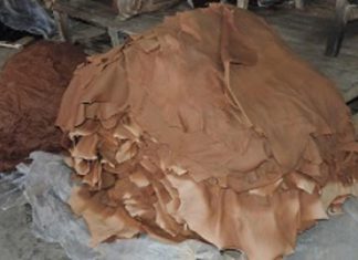 المواصفات:جلود الاضاحي تروة قومية وقيمة اقتصادية المواصفات:جلود الاضاحي تروة قومية وقيمة اقتصادية