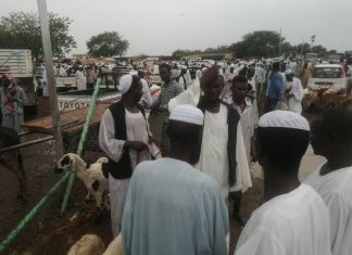 ركود في البيع والشراء للأضحية بالجبلين ركود في البيع والشراء للأضحية بالجبلين